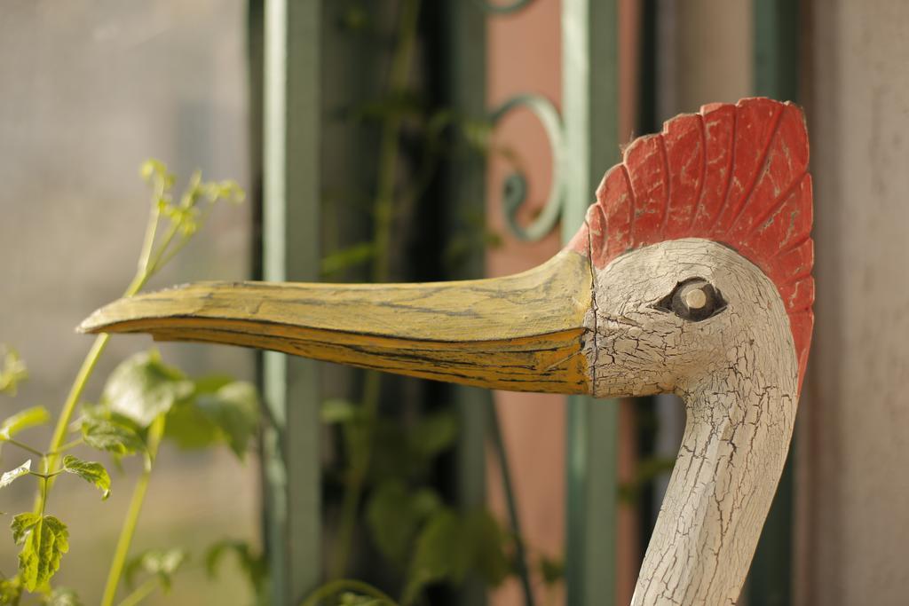 Bed&Breakfast Garden40 Belgrad Exterior foto